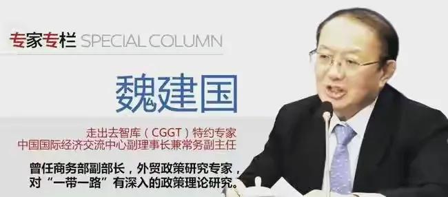 魏建国:法国这次挑头,影响极坏「走出去智库」